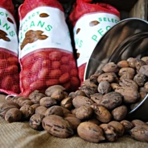 New Crop In-Shell Paper-Shell Pecans (Not Available in CA or AZ)