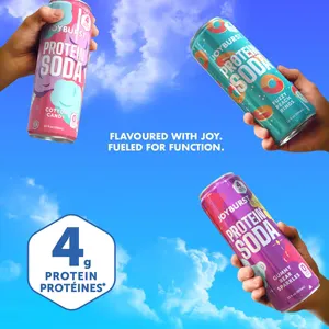 JOYBURST Protein Soda (4g) 15ct - Variety Pack - Image 2